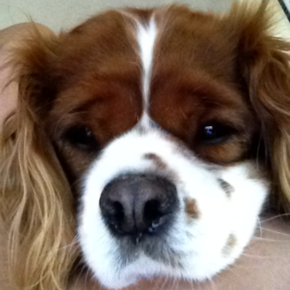 Meet your Posher, Jeannie